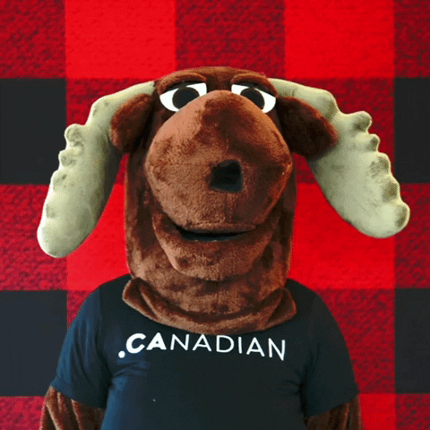 Canadian Shrug GIF by choose.ca