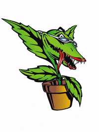Venus Fly Trap Vinny GIF by Future Harvest - Find & Share on GIPHY Venus Fly Trap Vinny GIF by Future Harvest - Find & Share on GIPHY
