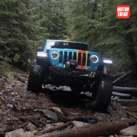 Adventure GIF