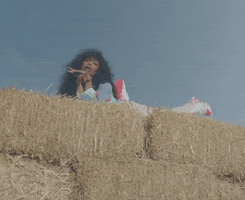 Hay Bale GIF by SZA