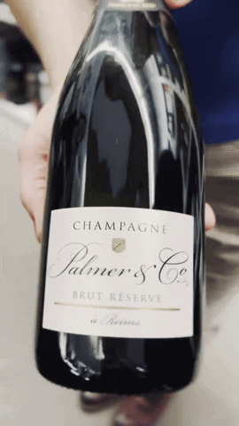 France Champagne GIF by Casol