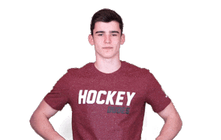 Celebrate Love You Sticker by HOCKEY DUDES