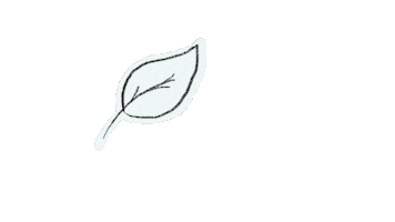Nature Sticker