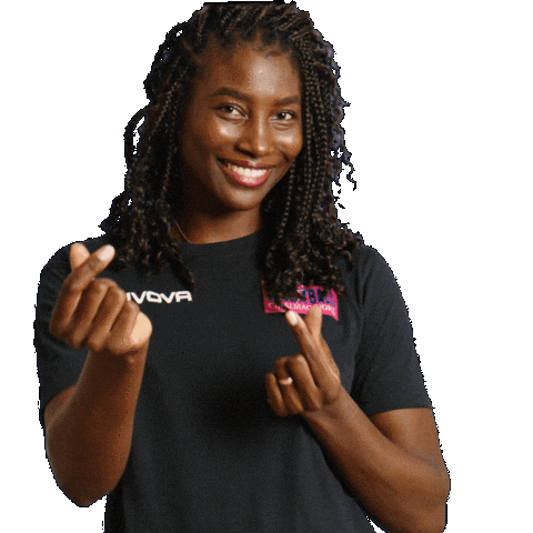 VBC Casalmaggiore Sticker