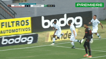 Serie A Capixaba GIF by Canal Premiere