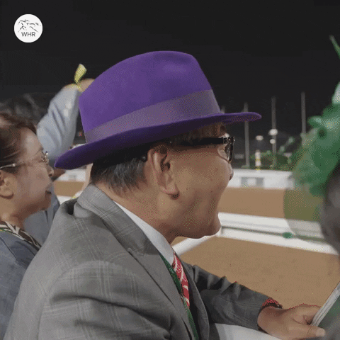 Happy Sport GIF by World Horse Racing