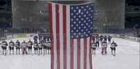 Ice Hockey Flag GIF by USA Hockey