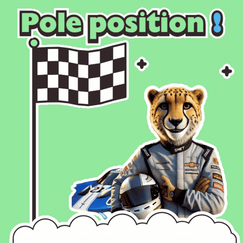 Racing Driver GIF by solydari