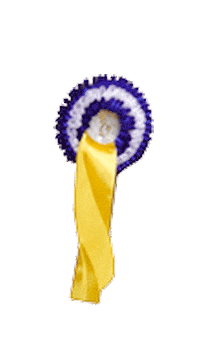 VER-Dinale - Verdener Hallenreitturnier Sticker