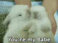 Love Shack Baby Gifs Get The Best Gif On Giphy Love Shack Baby Gifs Get The Best Gif On Giphy