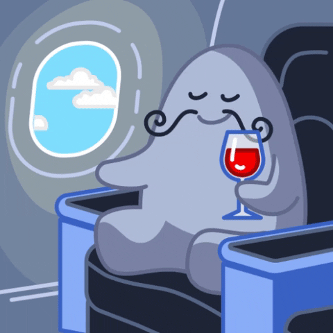 Happy Travel GIF by App in the Air