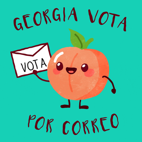 Voting Election Day GIF by INTO ACTION
