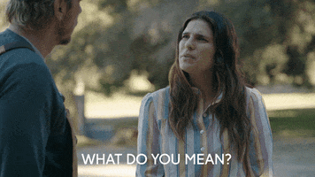 Confused Lake Bell GIF by ABC Network