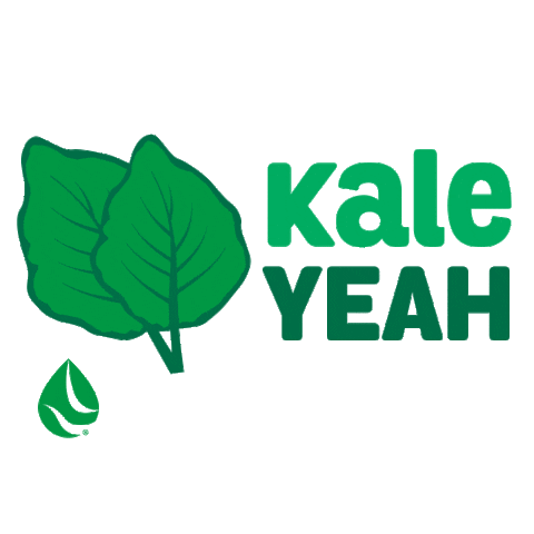 Sujajuice Sticker