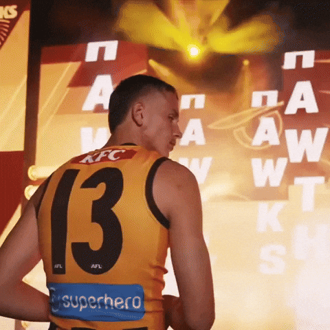 Hawthorn Hawks Afl GIF