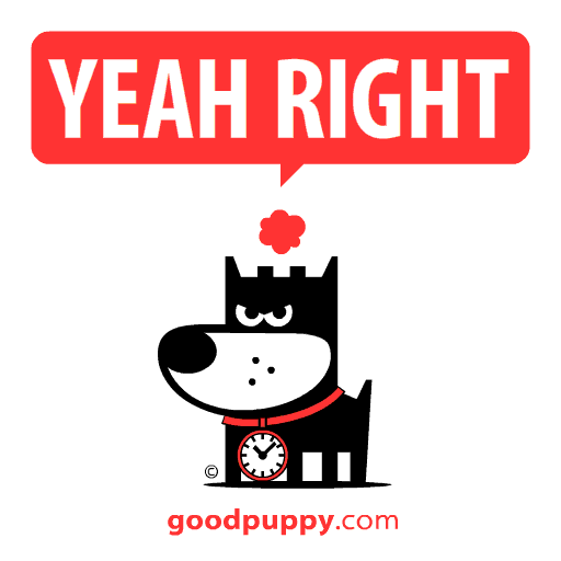 Angry Yeah Right GIF by GOOD PUPPY