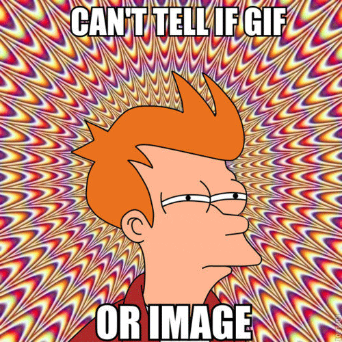Futurama Fry GIF