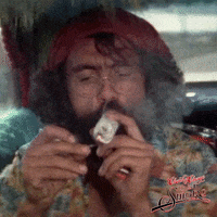tommy chong weed GIF by Paramount Movies