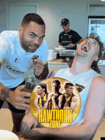 Afl Hawks GIF by Hawthorn Football Club