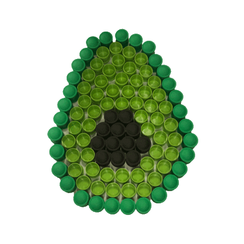 Replay Avocado Sticker by RePlayRecycled