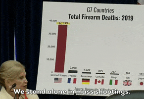 Carolyn Maloney Gun Violence GIF by GIPHY News