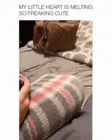 Dog Mood GIF by JustViral.Net