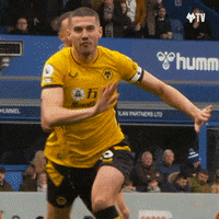 Premier League Football GIF by Wolves