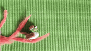 Cria GIF