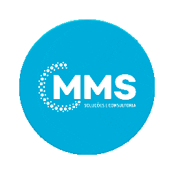 MMS Soluções e Consultoria Sticker