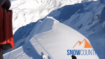 Snowcountry snow ski mountain powder GIF
