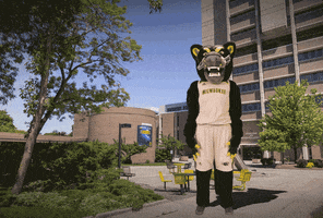 Campus Pounce GIF by UW-Milwaukee