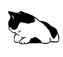 Cat Neko Sticker by Wonderyash