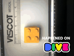 Twitch Lego GIF by Dive
