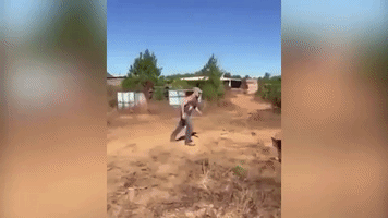 say7at  GIF