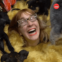 Best Day Ever Fun GIF by BuzzFeed