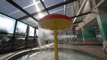 Water Park Fun GIF by Compass Cove Resort