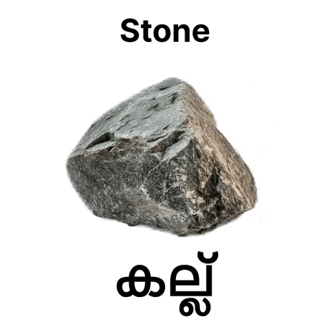 Pinarayi Vijayan Rock GIF
