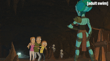 Season 3 Episode 309 GIF by Rick and Morty