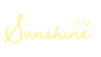 Sunny Day Holiday Sticker by SUNDAY SOMEWHERE