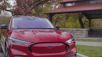 Car Respect GIF by Ford