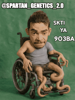 Morocco Omar GIF