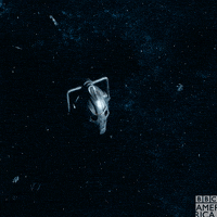 Doctor Who Dw GIF by BBC America