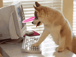 Dog Computer GIF by Hacker Noon