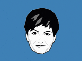 Dk Valasztas GIF by Sétáló Budapest