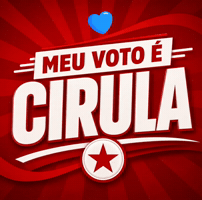Ciro Gomes Bora GIF by Michel