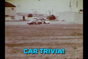 rosemarylintbucketcom  GIF