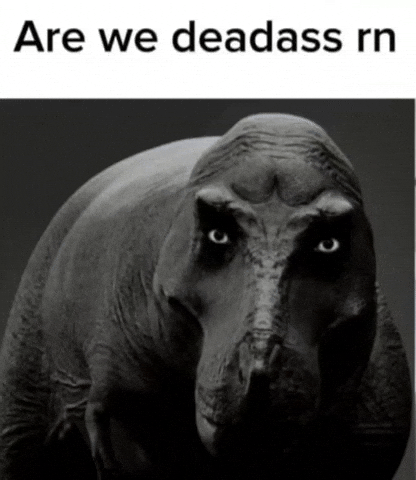 Bro Are You Serious GIF