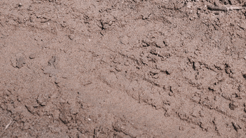 GIF by Dalton Dover