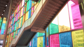 Tallia  GIF