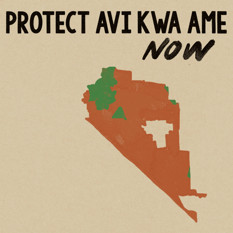 Illustrated gif. Map of Avi Kwa Ame National Monument appears brown with kelly green patches. Brown region labeled "Unprotected areas," is eclipsed by the green regions labeled, "Protected areas," as they expand to cover the whole map. Text on a beige background, "Protect Avi Kwa Ame now."